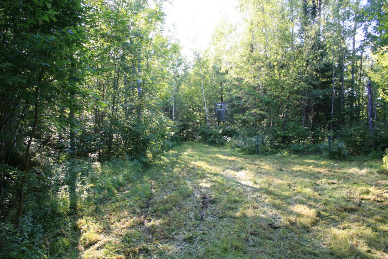 On Berry Road Phillips, WI 54555 - Photo 25 of 30 Gallery Image 25