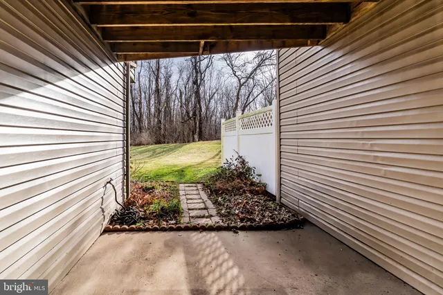 a view of a backyard with a large tree