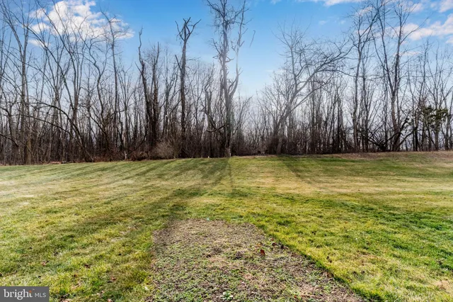 a view of a yard with a trampoline