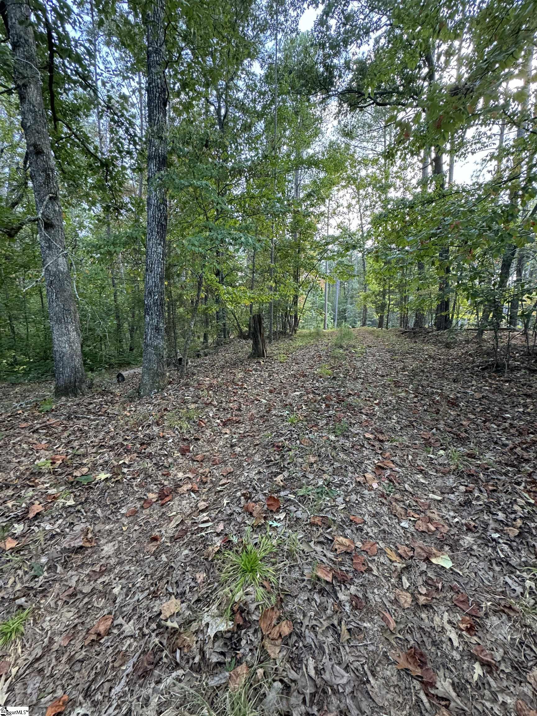 0 Katelynn Lane Seneca, SC 29672 - Photo 3 of 4