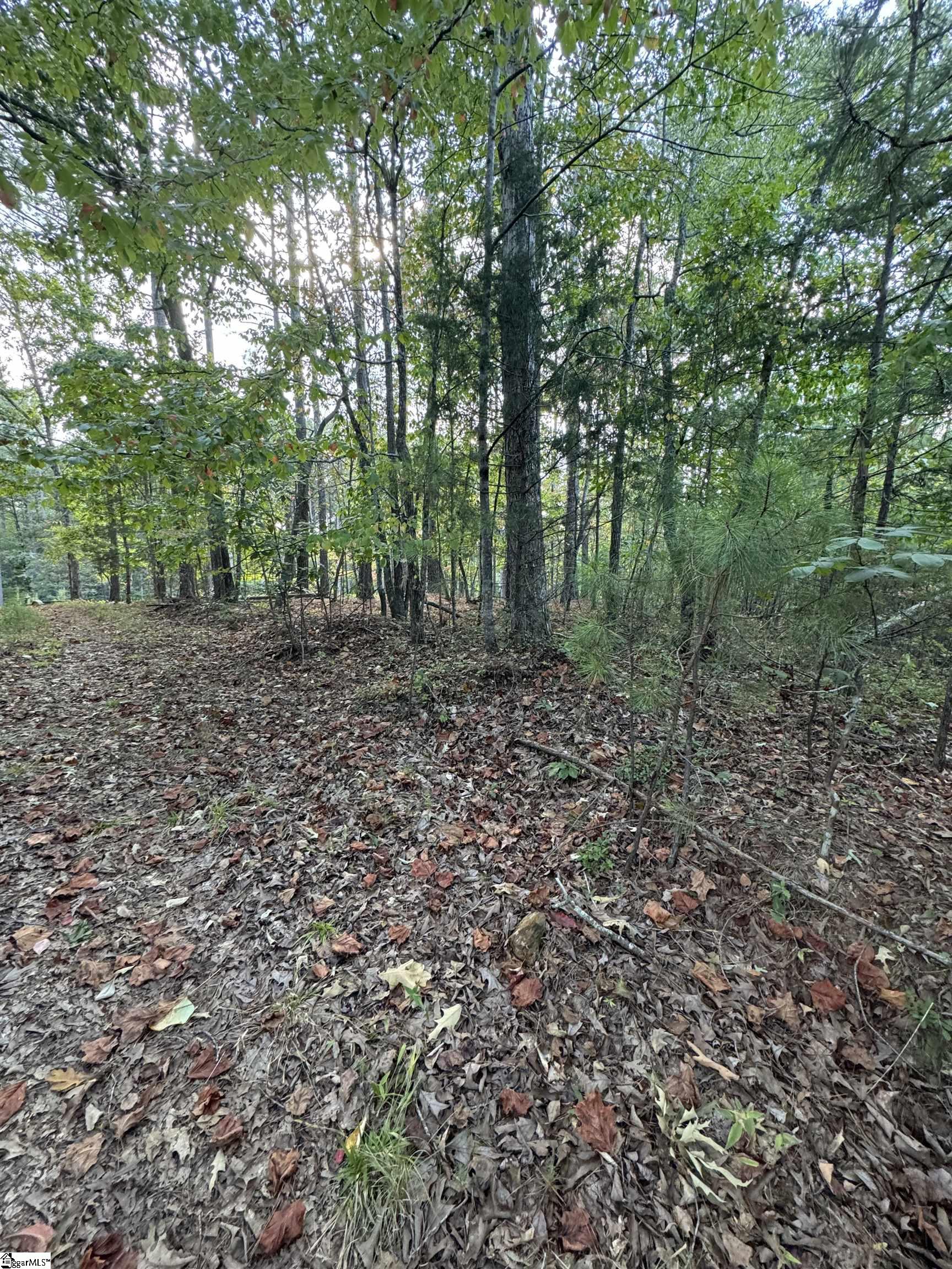 0 Katelynn Lane Seneca, SC 29672 - Photo 4 of 4