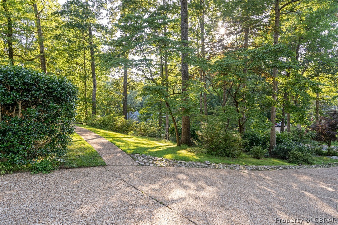 115 Hempstead Road Williamsburg, VA 23188 - Photo 7 of 50 Gallery Image 7