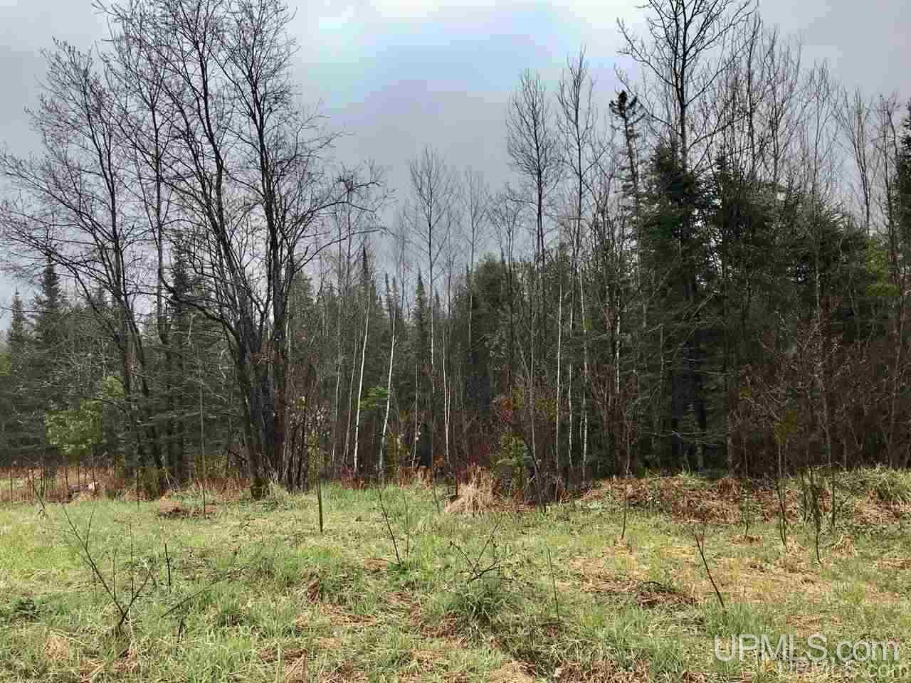 Tbd South Co Rd 519 Highway Bessemer, MI 49911 - Photo 3 of 10