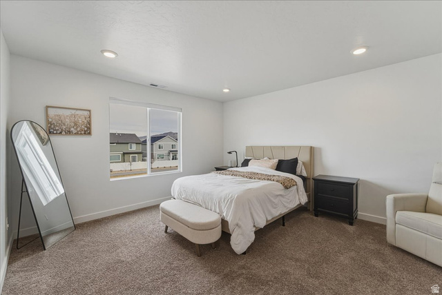 3733 Cold Spring Drive Lehi, UT 84048 - Photo 13 of 22