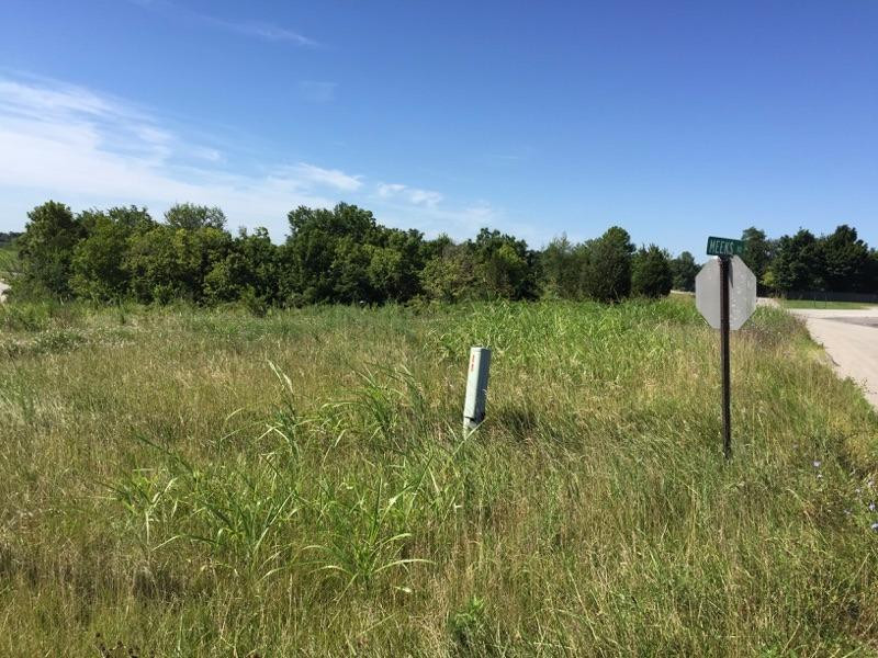 0 Meeks Road Dry Ridge, KY 41035 - Photo 1 of 2