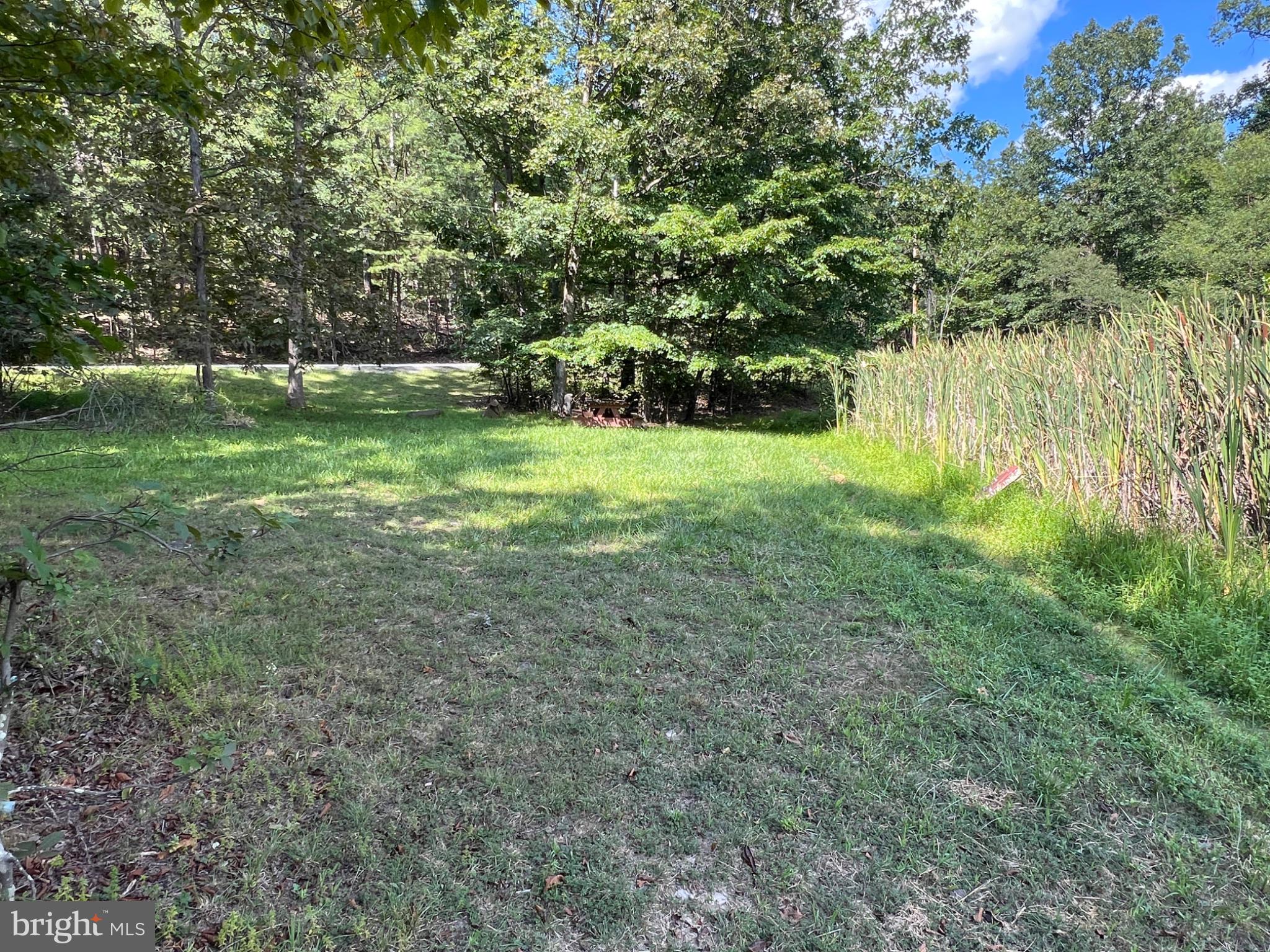 2932 Kerns School Road Springfield, WV 26763 - Photo 42 of 42 Neighborhood pond