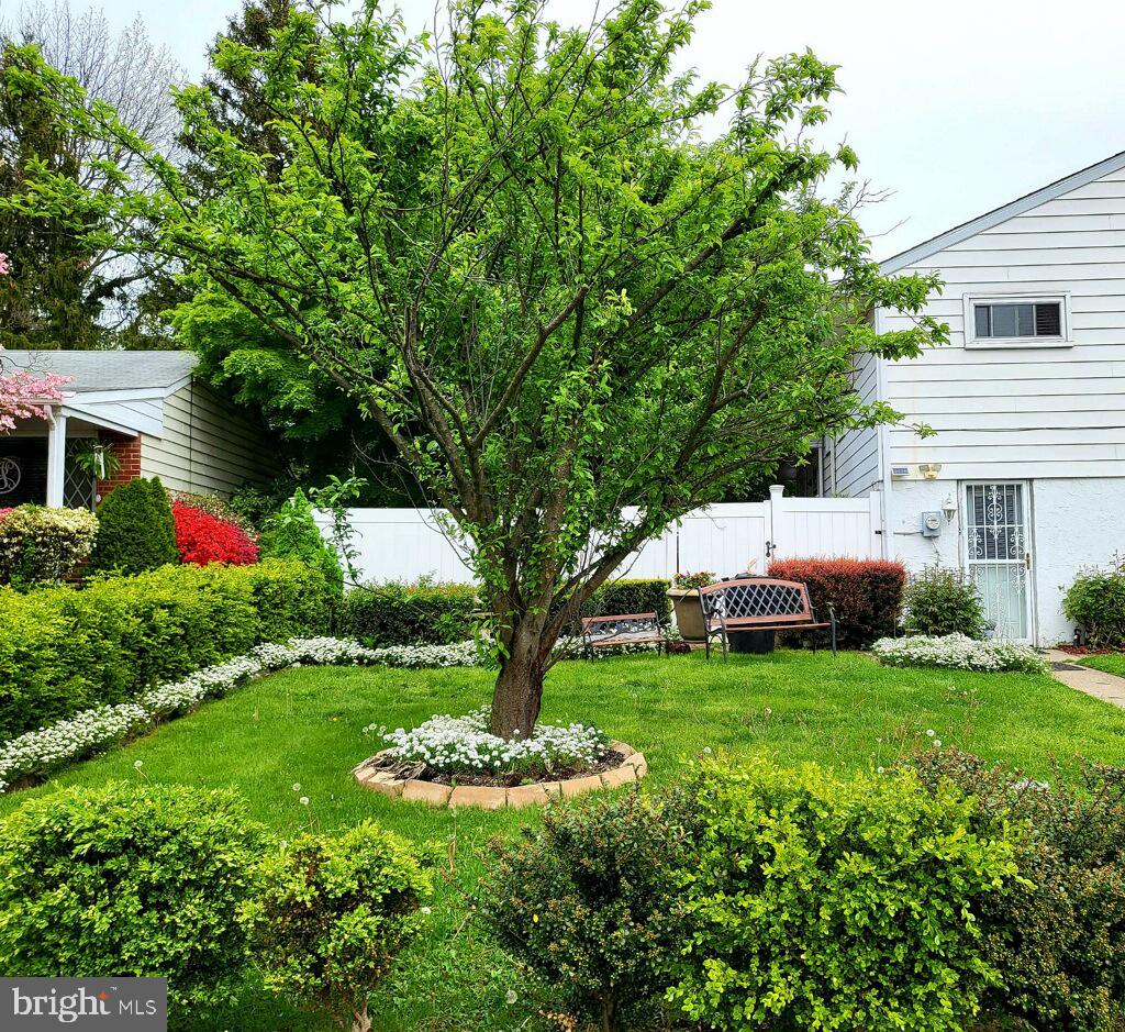 95 Springfield Road Aldan, PA 19018 - Photo 5 of 17 Gallery Image 5