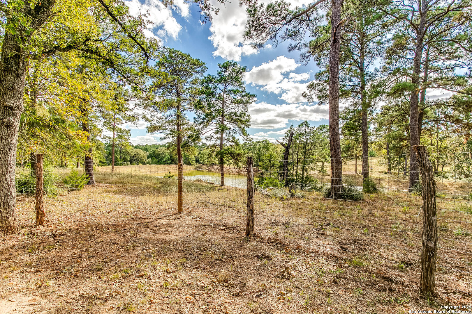 408 Copeland Hill Road Smithville, TX 78957 - Photo 26 of 35 a view of a yard with trees