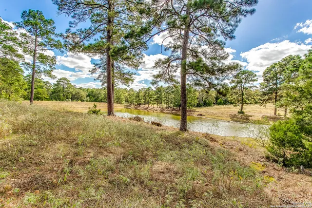 a view of yard with tree