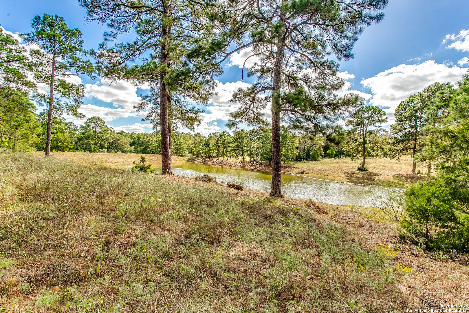 408 Copeland Hill Road Smithville, TX 78957 - Photo 27 of 35 a view of yard with tree