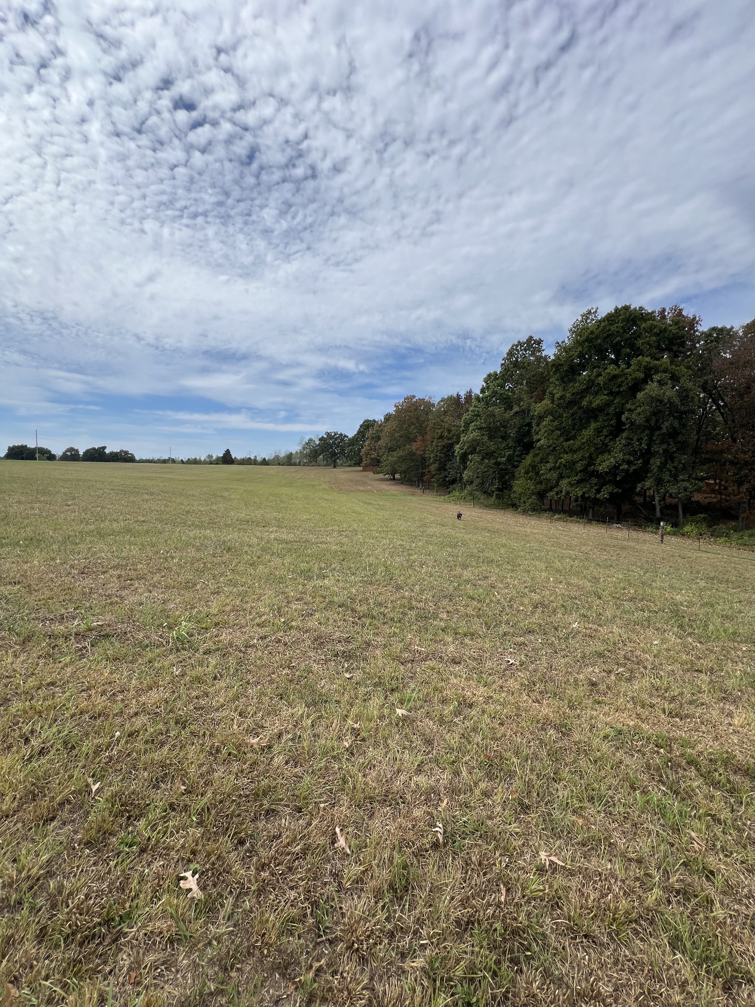 9712 Buttermilk Ridge Road Lawrenceburg, TN 38464 - Photo 21 of 48 Gallery Image 21