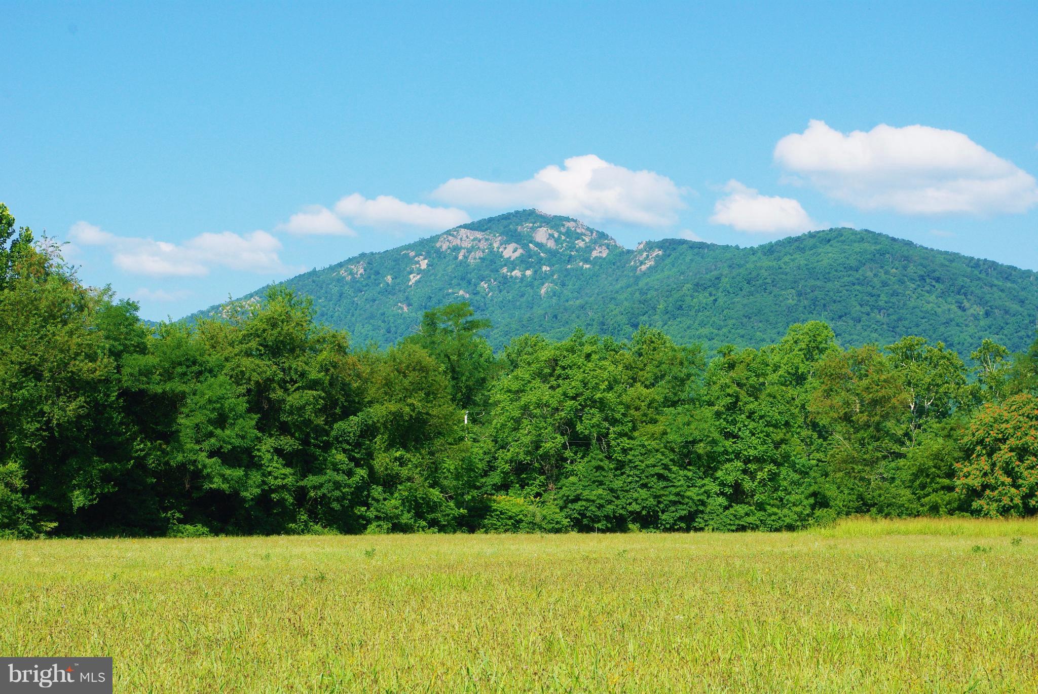 Sharp Rock Road Sperryville, VA 22740 - Photo 1 of 13 Old Rag View