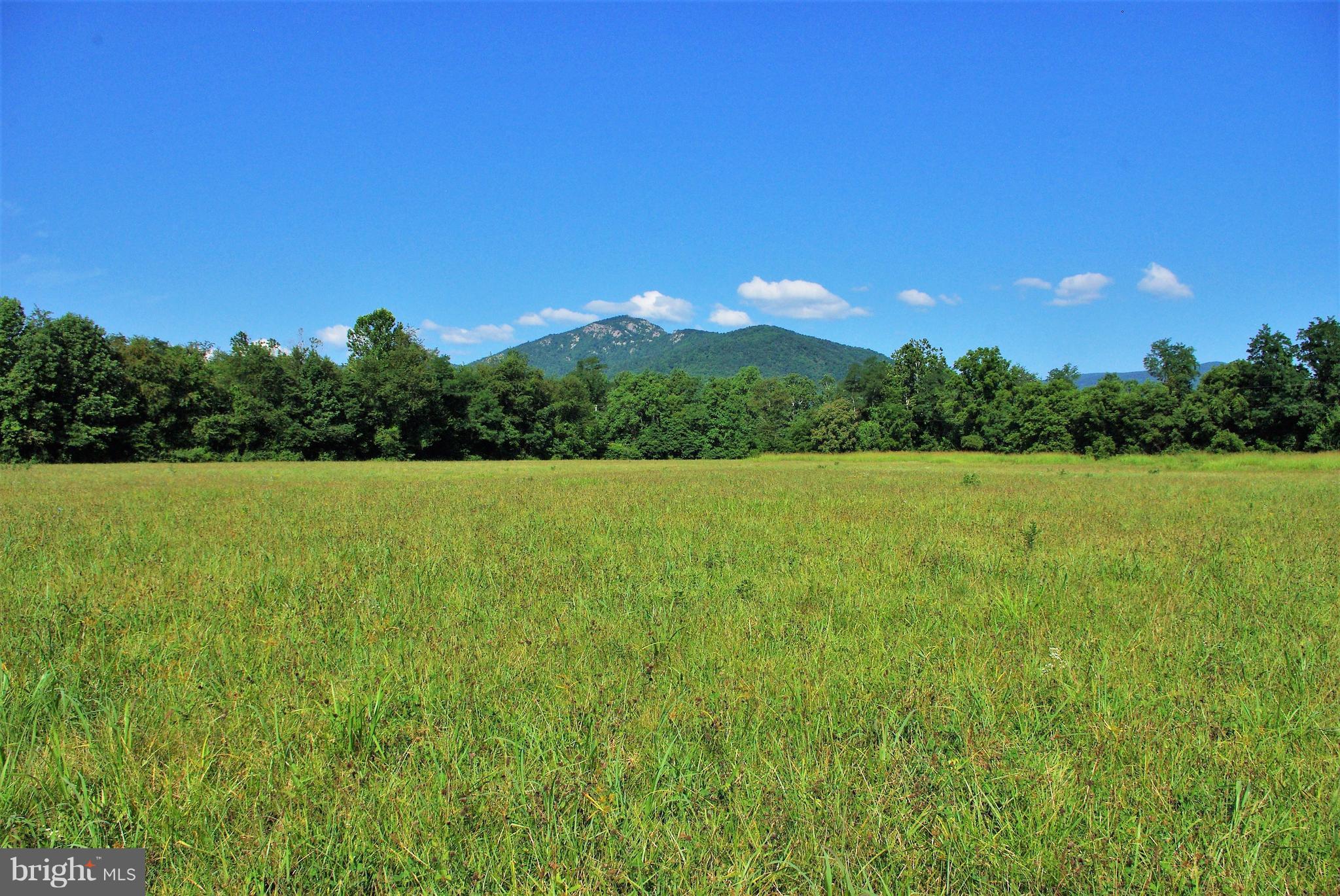 Sharp Rock Road Sperryville, VA 22740 - Photo 2 of 13 Wide View