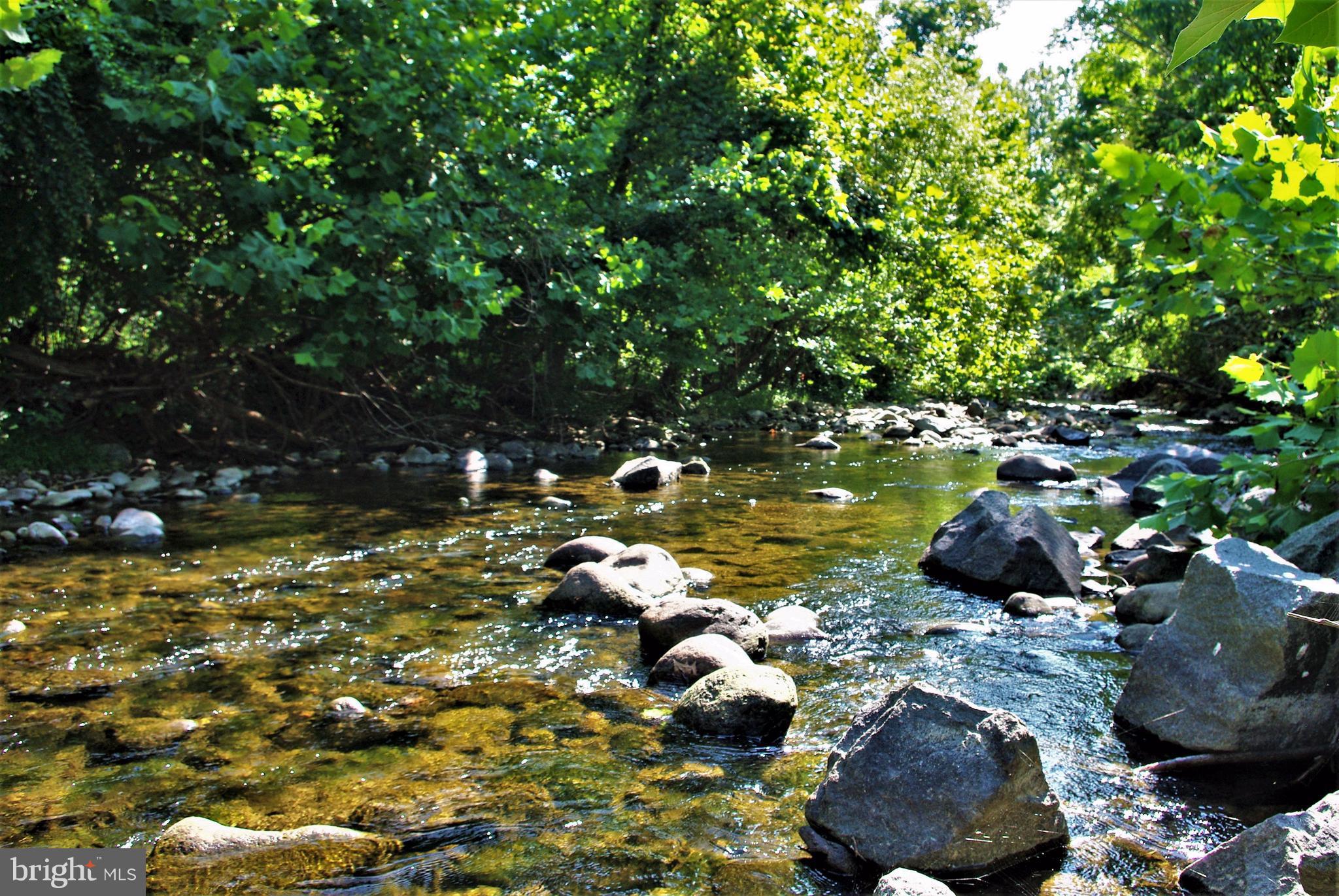 Sharp Rock Road Sperryville, VA 22740 - Photo 11 of 13 A Popular Trout Stream