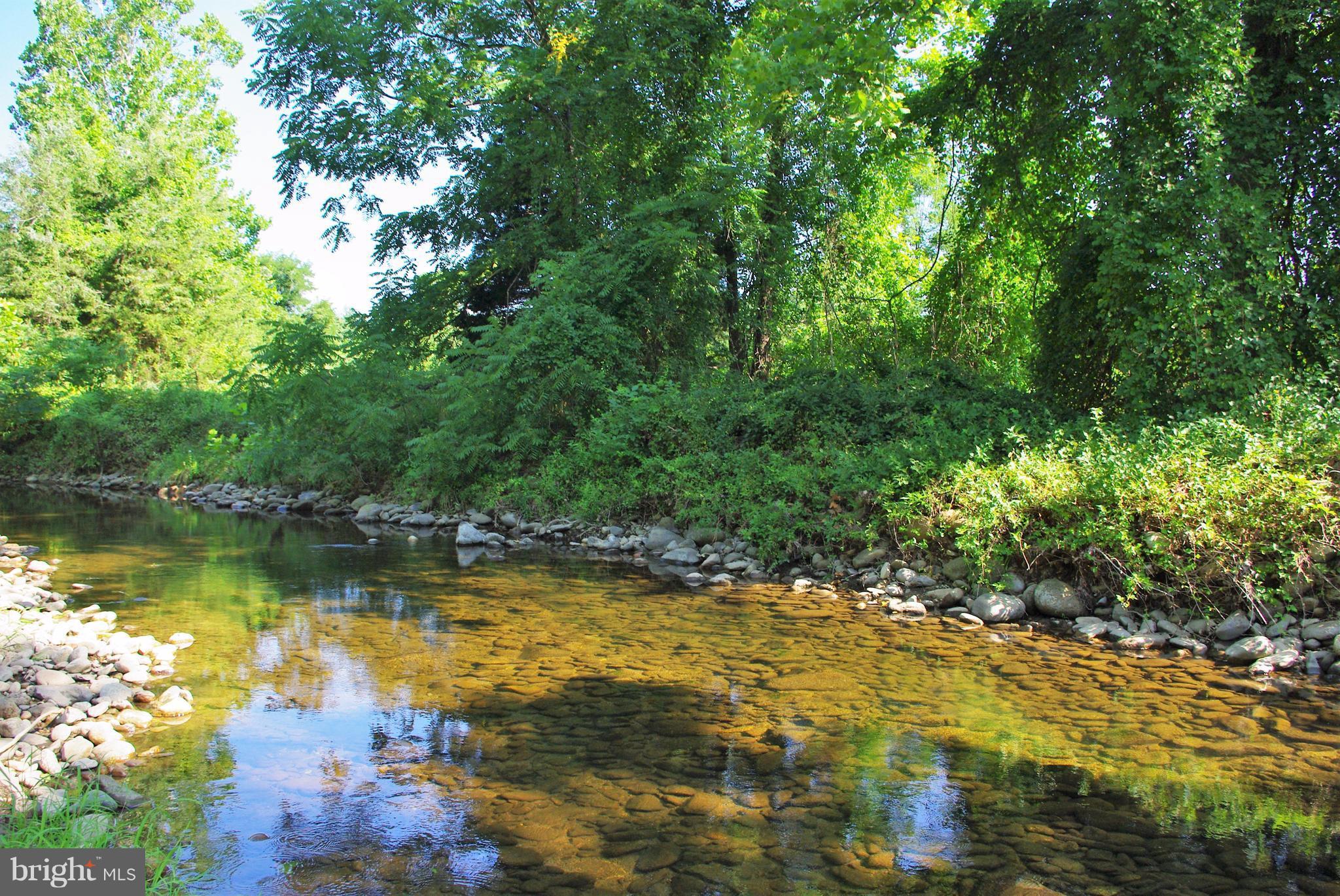 Sharp Rock Road Sperryville, VA 22740 - Photo 12 of 13 Clear, Cold Water