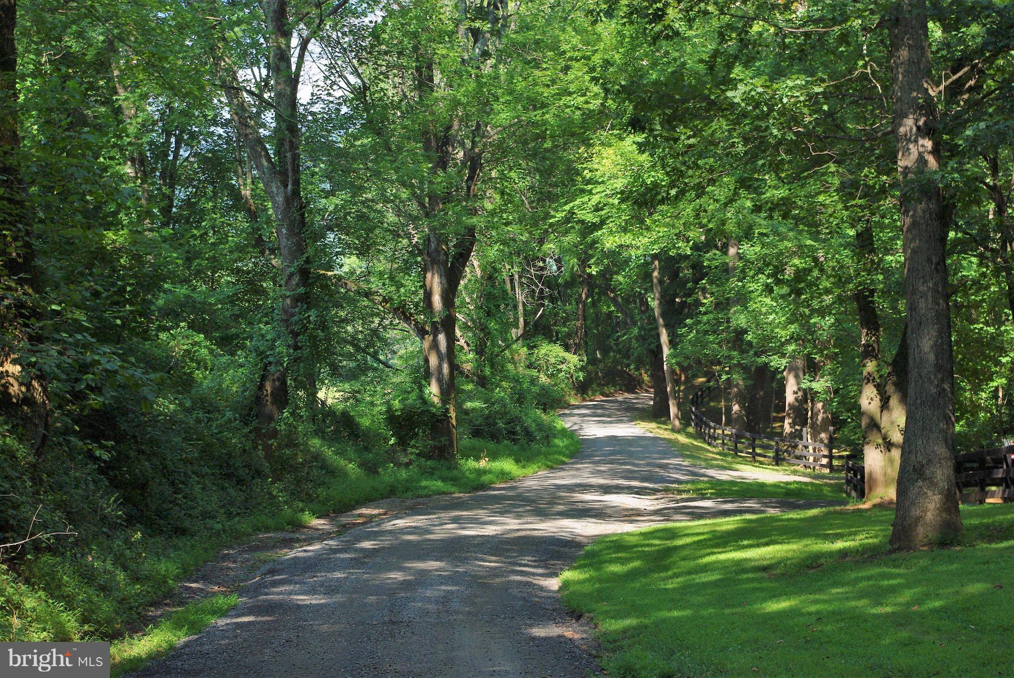 Sharp Rock Road Sperryville, VA 22740 - Photo 13 of 13 Scenic Sharp Rock Road