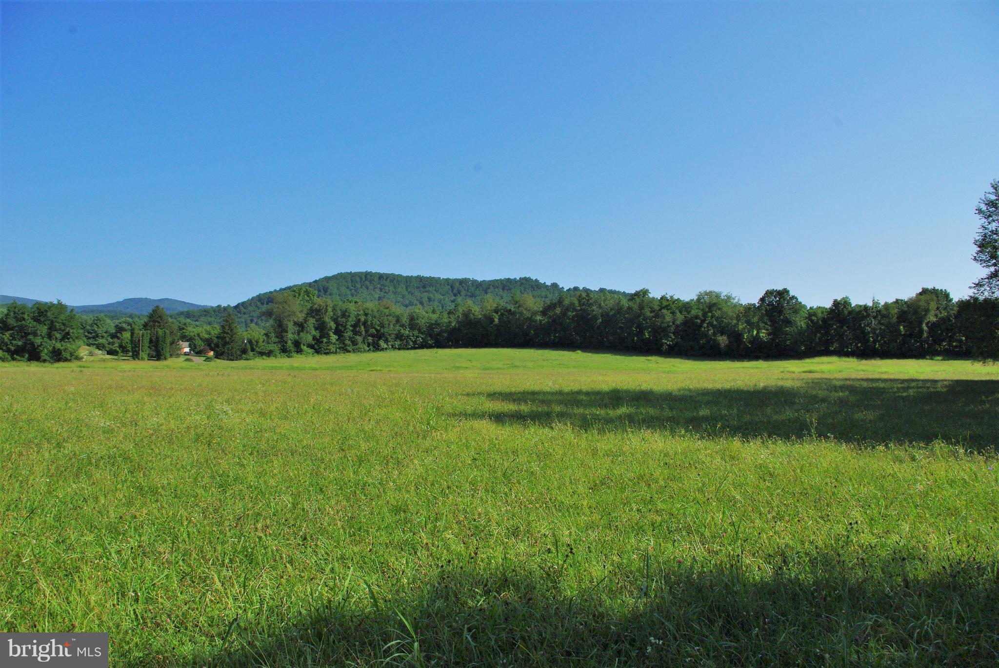 Sharp Rock Road Sperryville, VA 22740 - Photo 3 of 13 View to North