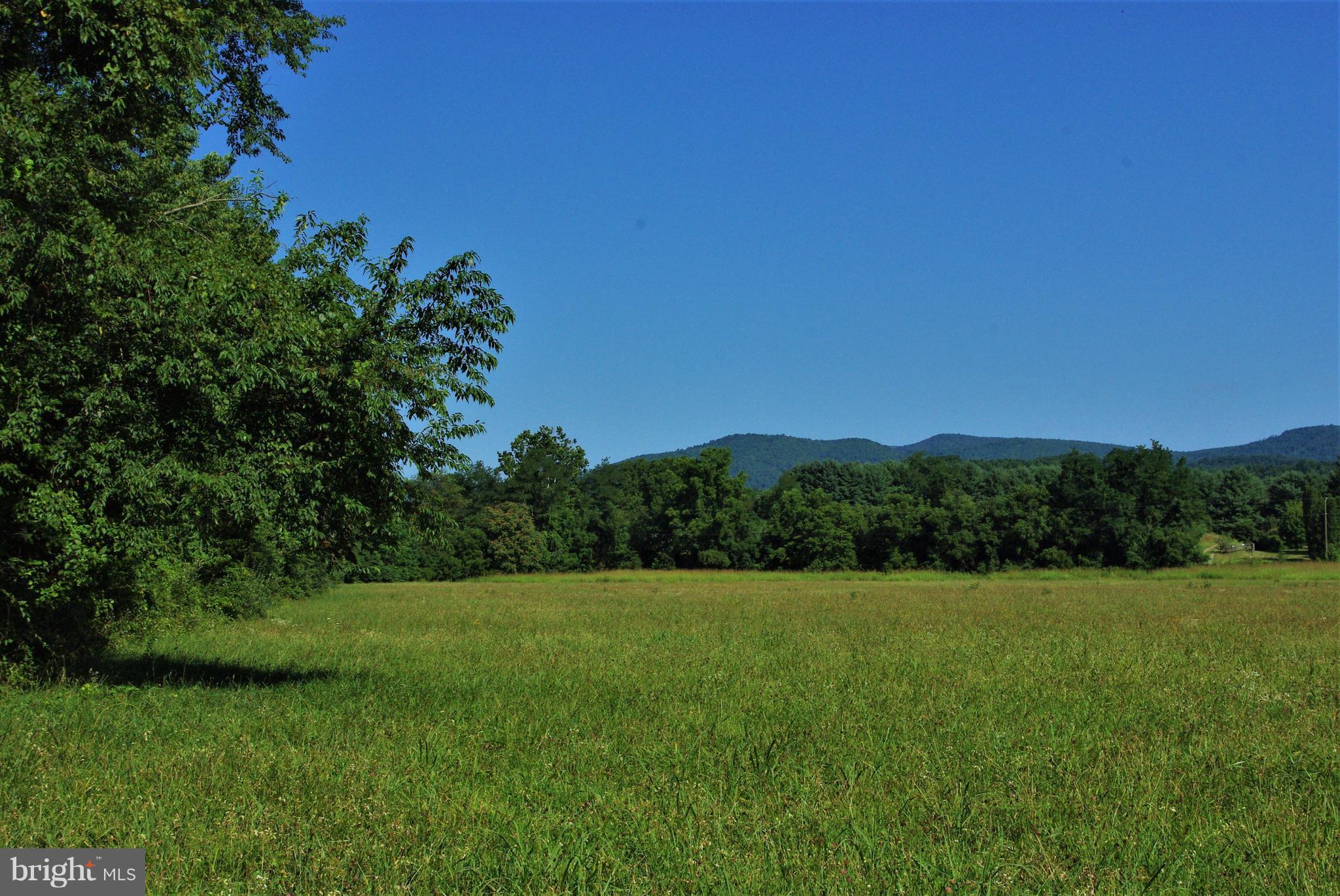 Sharp Rock Road Sperryville, VA 22740 - Photo 4 of 13 View from Woods