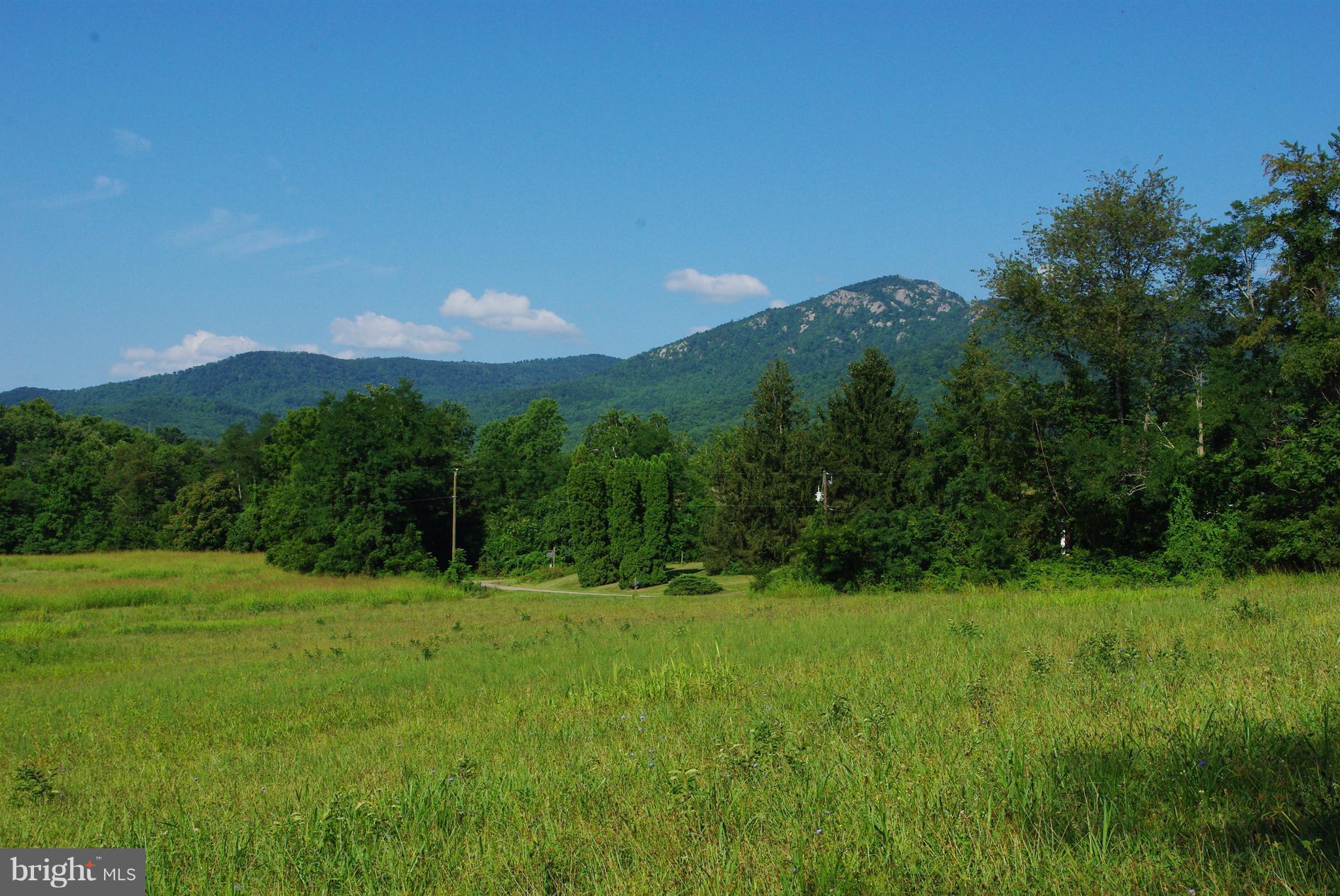 Sharp Rock Road Sperryville, VA 22740 - Photo 5 of 13 View to Southwest
