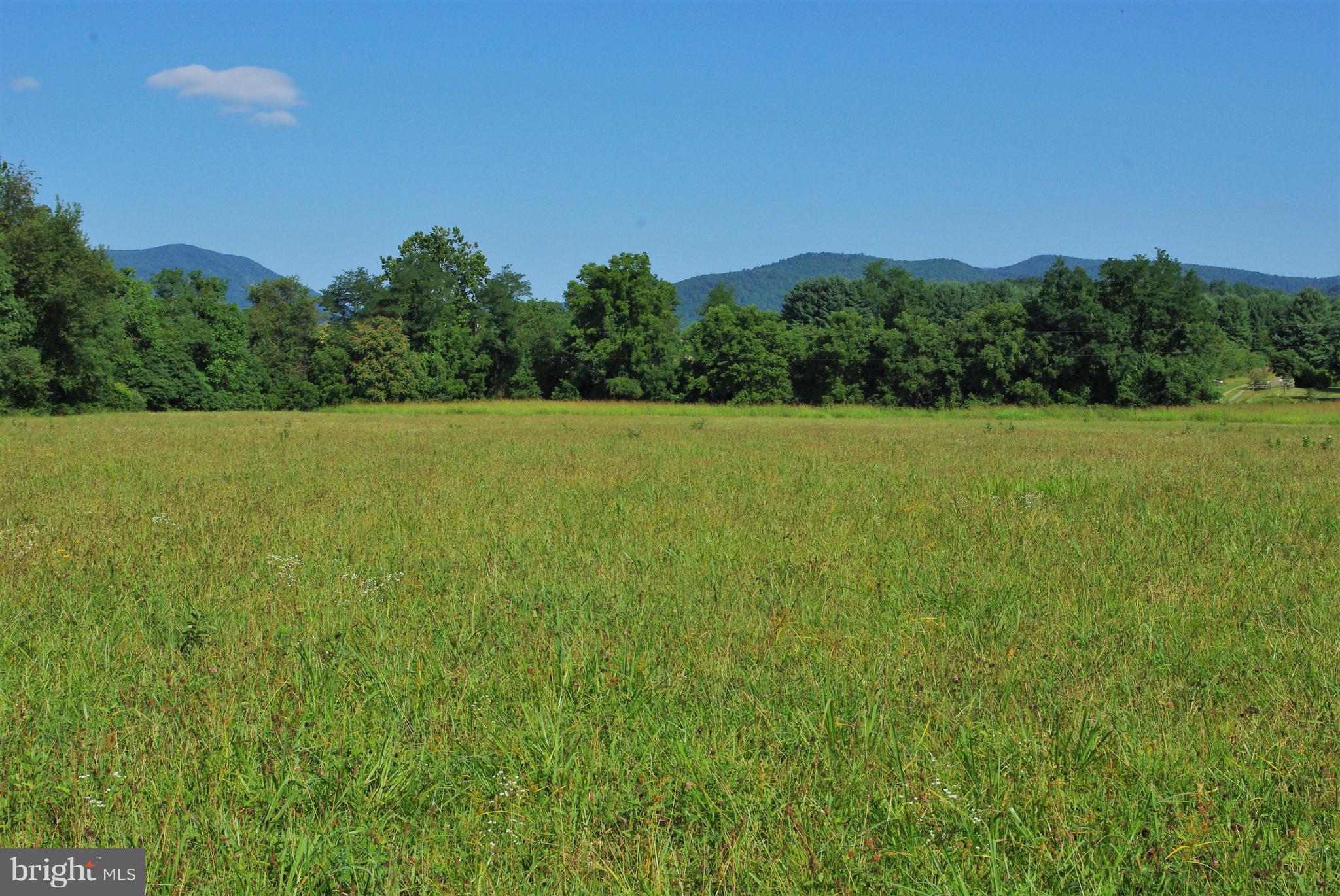 Sharp Rock Road Sperryville, VA 22740 - Photo 6 of 13 View to Northwest