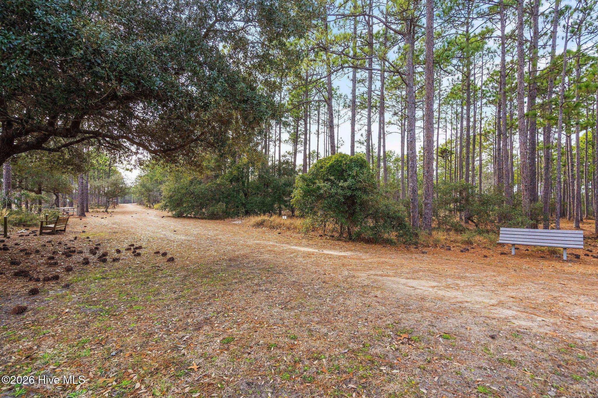 216 Foxcroft Road Southport, NC 28461 - Photo 92 of 108 92_DSC08791
