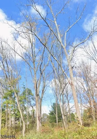 a backyard of a house with lots of trees