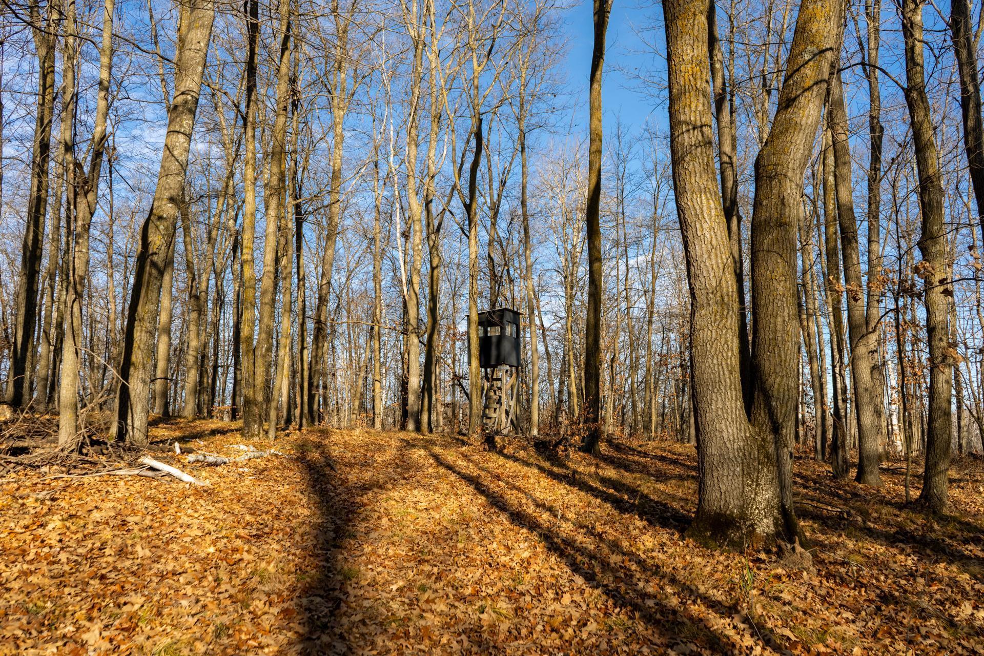 Tbd 48th Street Southwest Pine River, MN 56474 - Photo 1 of 31