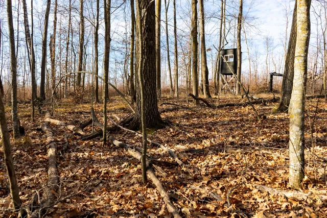 $219,000 | Tbd 48th Street Southwest, Pine River, MN 56474