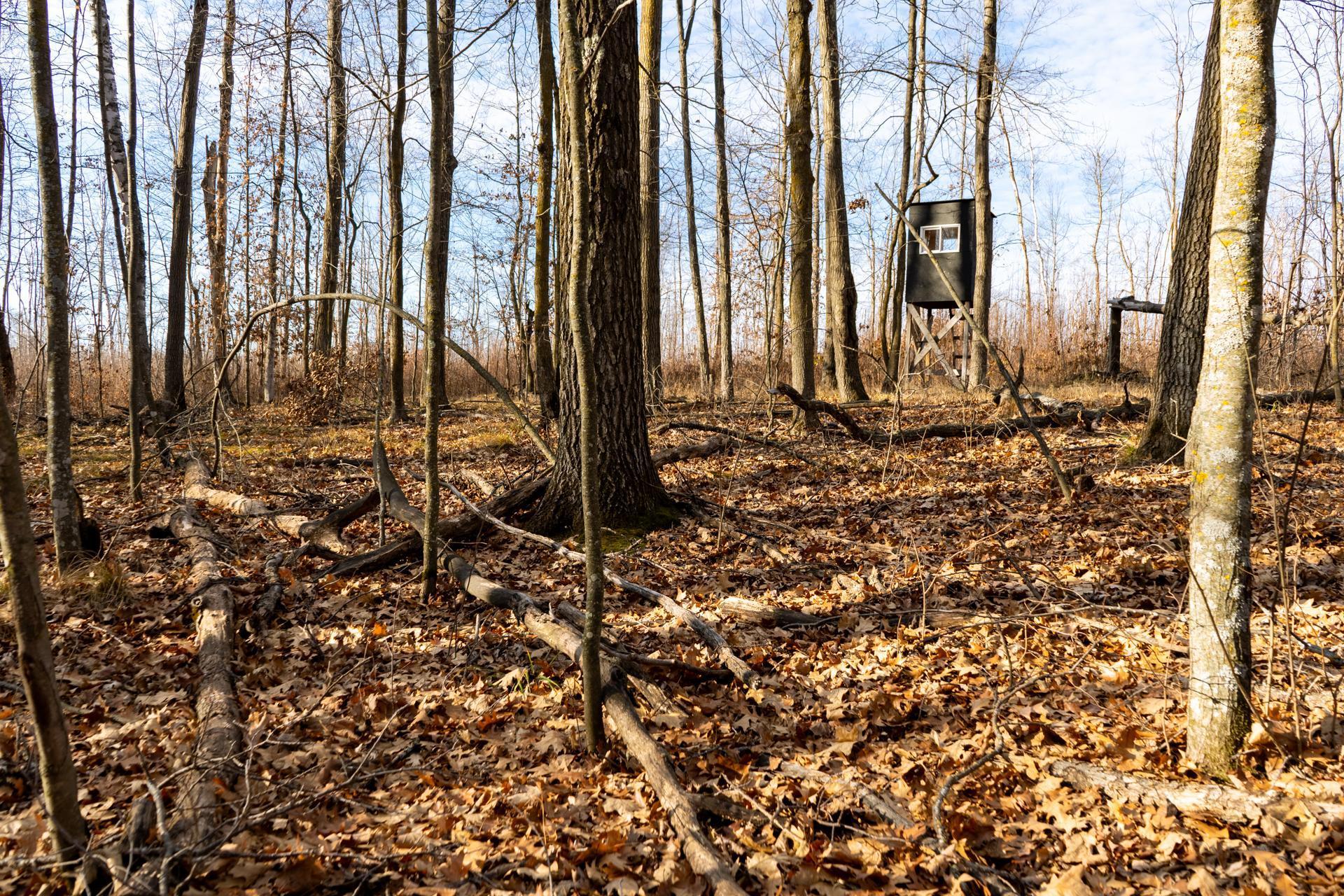 Tbd 48th Street Southwest Pine River, MN 56474 - Photo 11 of 31