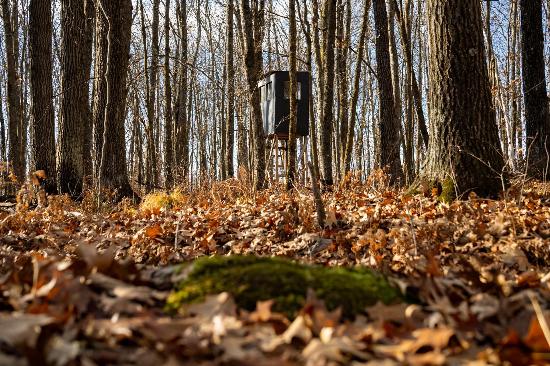 Tbd 48th Street Southwest Pine River, MN 56474 - Photo 12 of 31