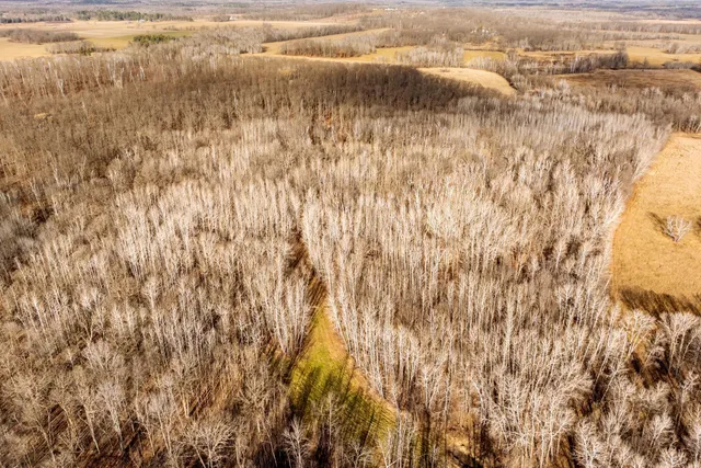 $219,000 | Tbd 48th Street Southwest, Pine River, MN 56474