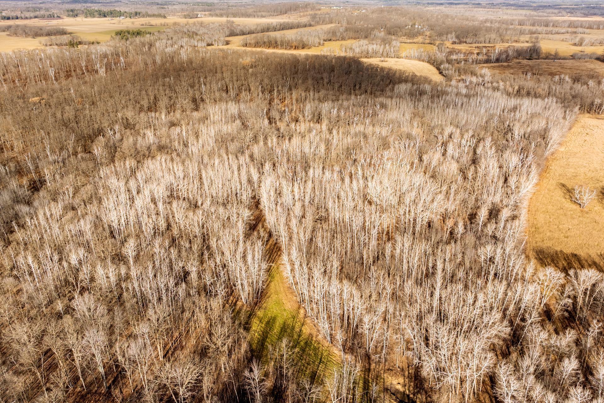 Tbd 48th Street Southwest Pine River, MN 56474 - Photo 13 of 31