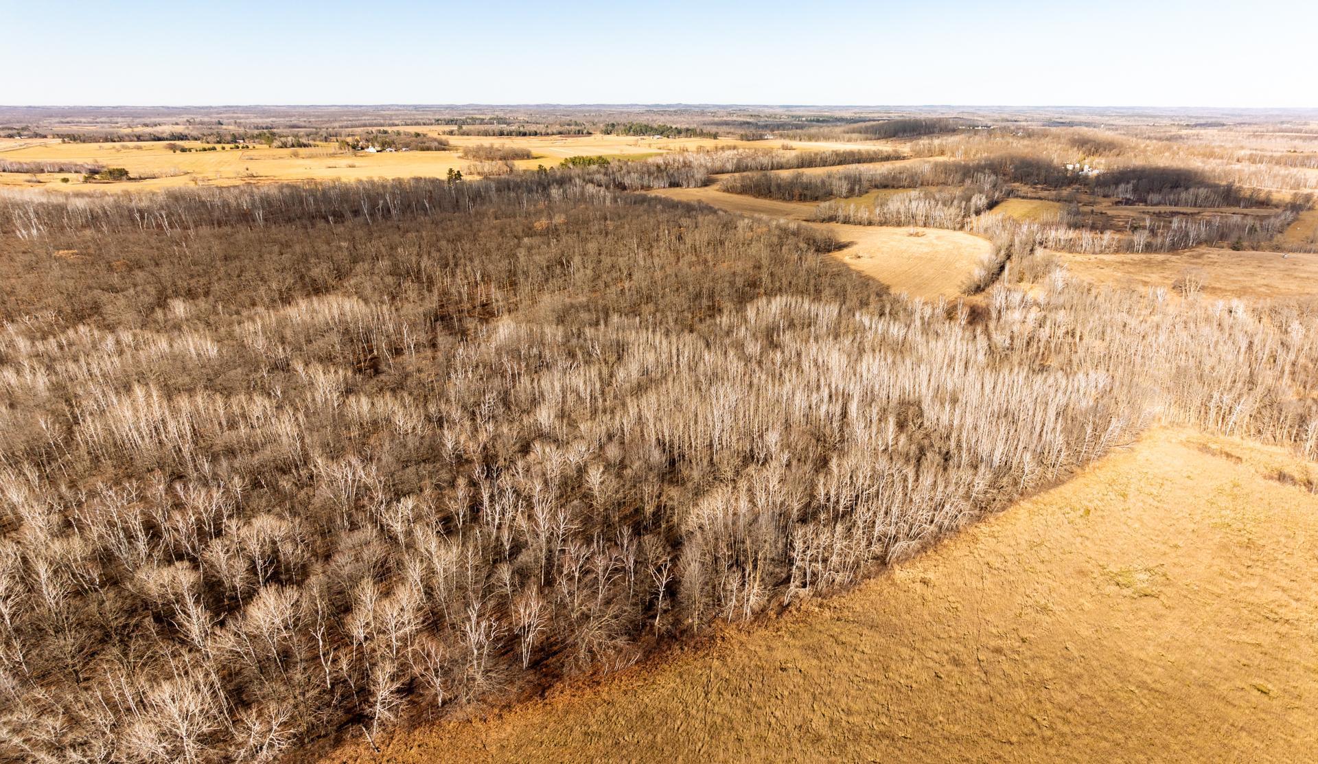 Tbd 48th Street Southwest Pine River, MN 56474 - Photo 17 of 31