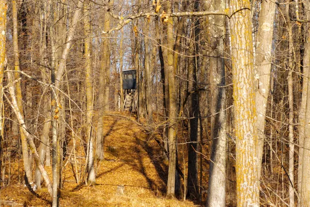 $219,000 | Tbd 48th Street Southwest, Pine River, MN 56474