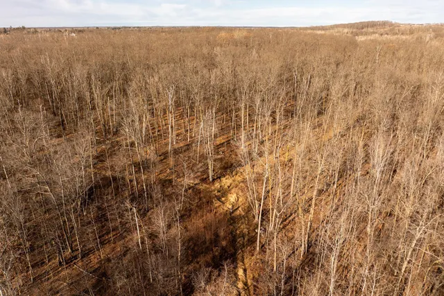 $219,000 | Tbd 48th Street Southwest, Pine River, MN 56474