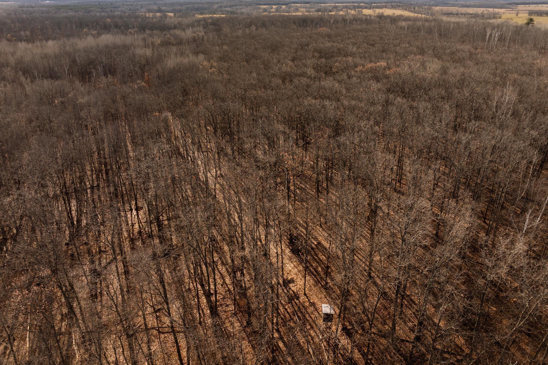 Tbd 48th Street Southwest Pine River, MN 56474 - Photo 27 of 31