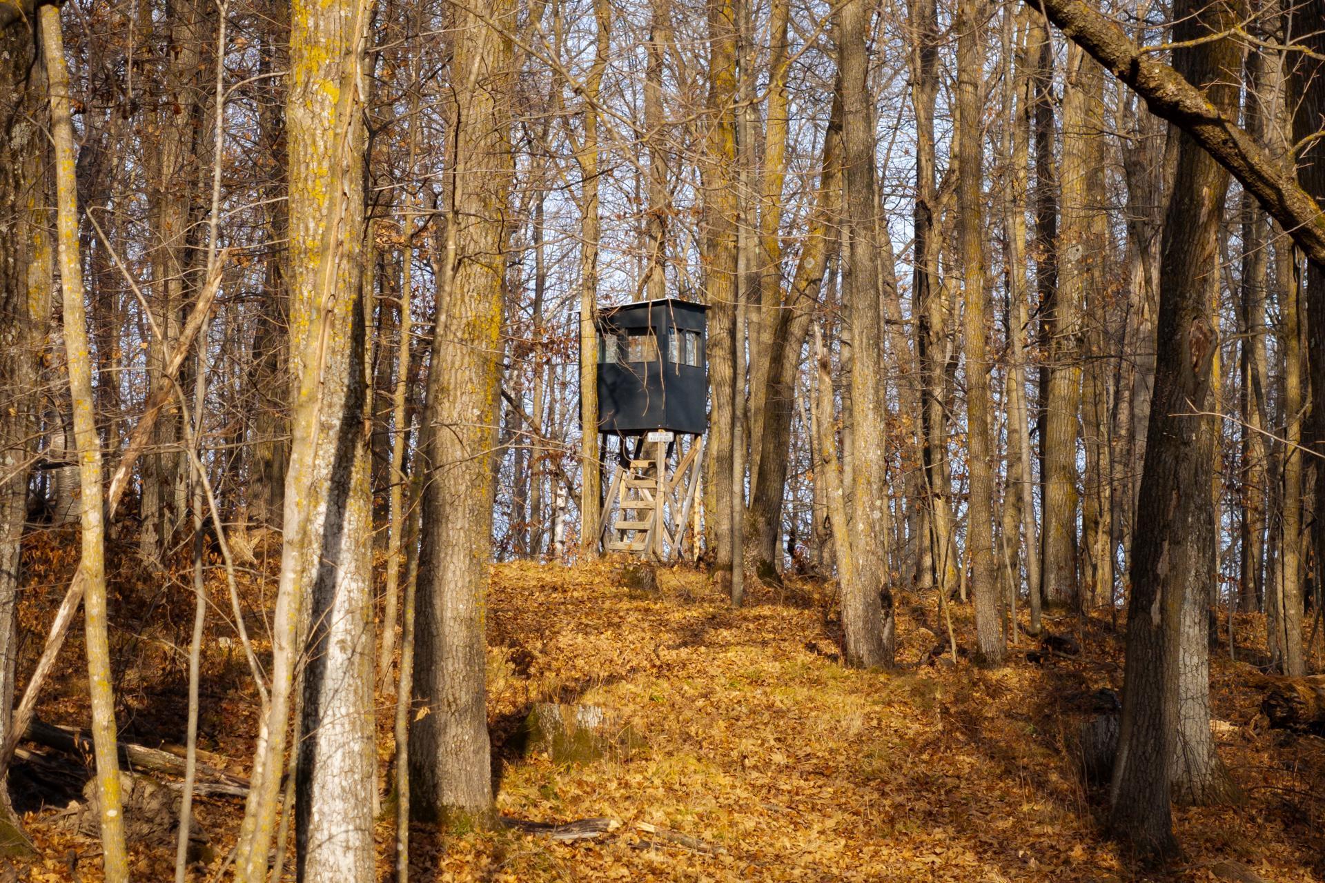 Tbd 48th Street Southwest Pine River, MN 56474 - Photo 28 of 31