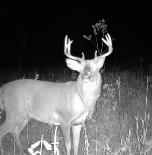 Tbd 48th Street Southwest Pine River, MN 56474 - Photo 30 of 31