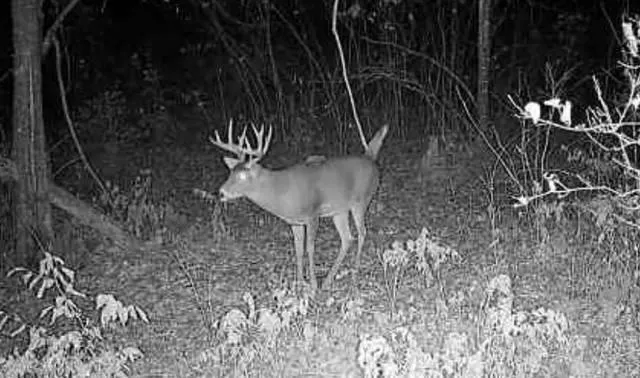 $219,000 | Tbd 48th Street Southwest, Pine River, MN 56474