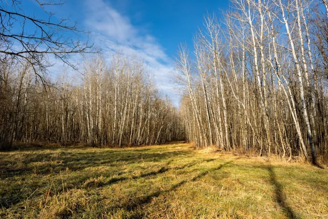 $219,000 | Tbd 48th Street Southwest, Pine River, MN 56474