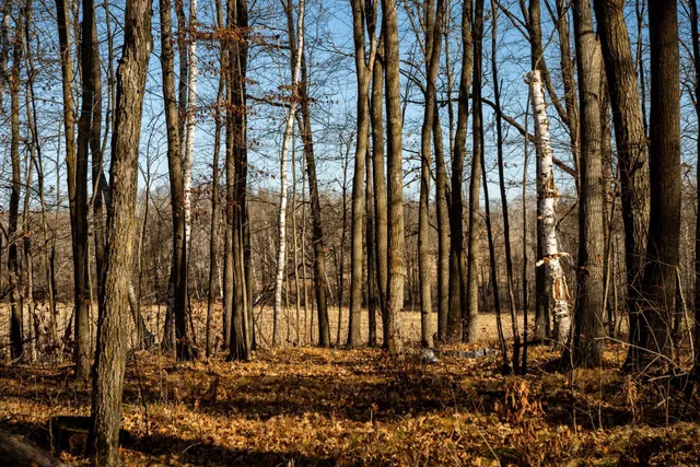 $219,000 | Tbd 48th Street Southwest, Pine River, MN 56474