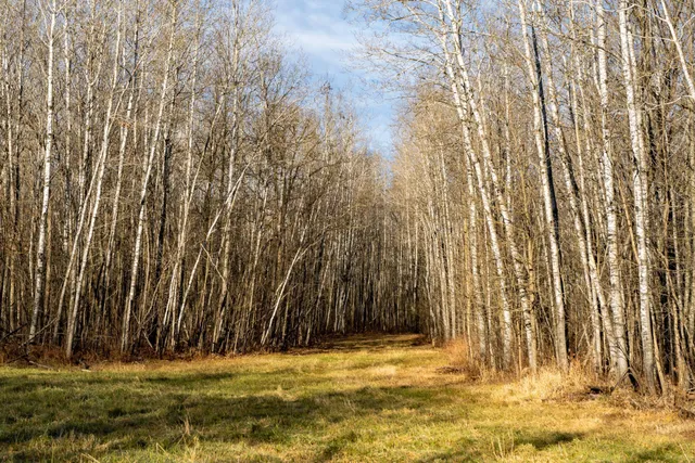 $219,000 | Tbd 48th Street Southwest, Pine River, MN 56474