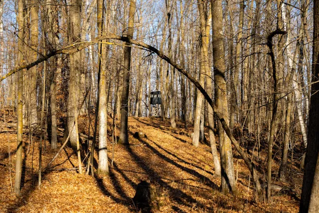 $219,000 | Tbd 48th Street Southwest, Pine River, MN 56474