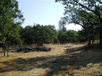 0 Ayres Road Eagle Point, OR 97524 - Photo 2 of 11 Additional Photo