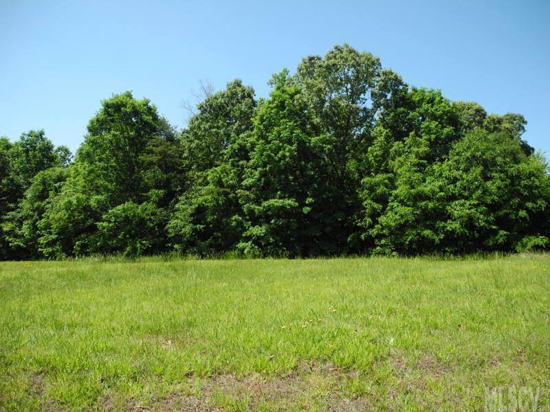 Lot 2 Orchard Road Iron Station, NC 28080 - Photo 4 of 9 Gallery Image 4