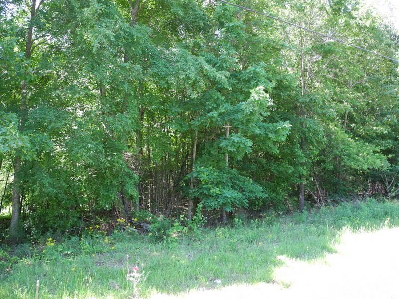 Lot 2 Orchard Road Iron Station, NC 28080 - Photo 6 of 9 Gallery Image 6