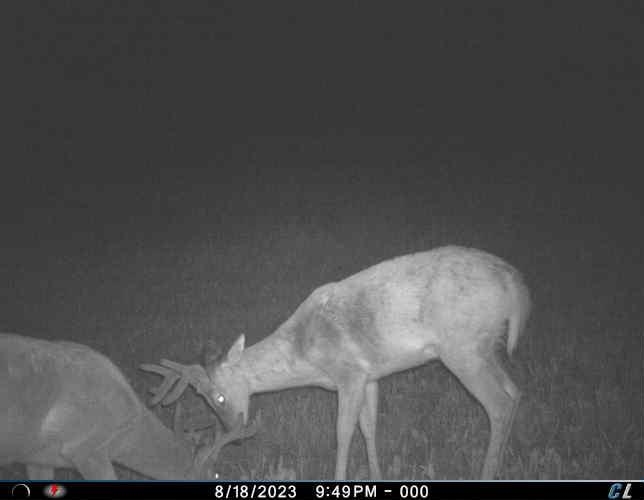 V/l Farrier Road Hillman, MI 49746 - Photo 18 of 26