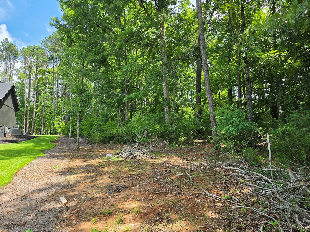110 Long Point Road Hodges, SC 29653 - Photo 7 of 11