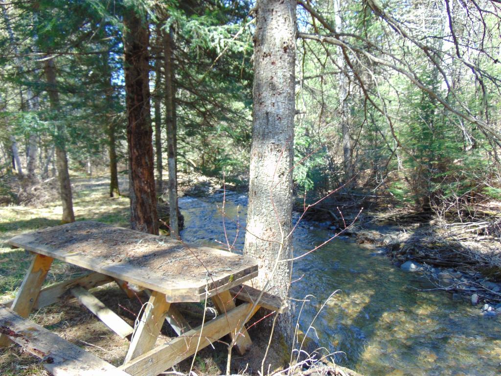 41 Kelsea Notch Road Columbia, NH 03576 - Photo 2 of 13