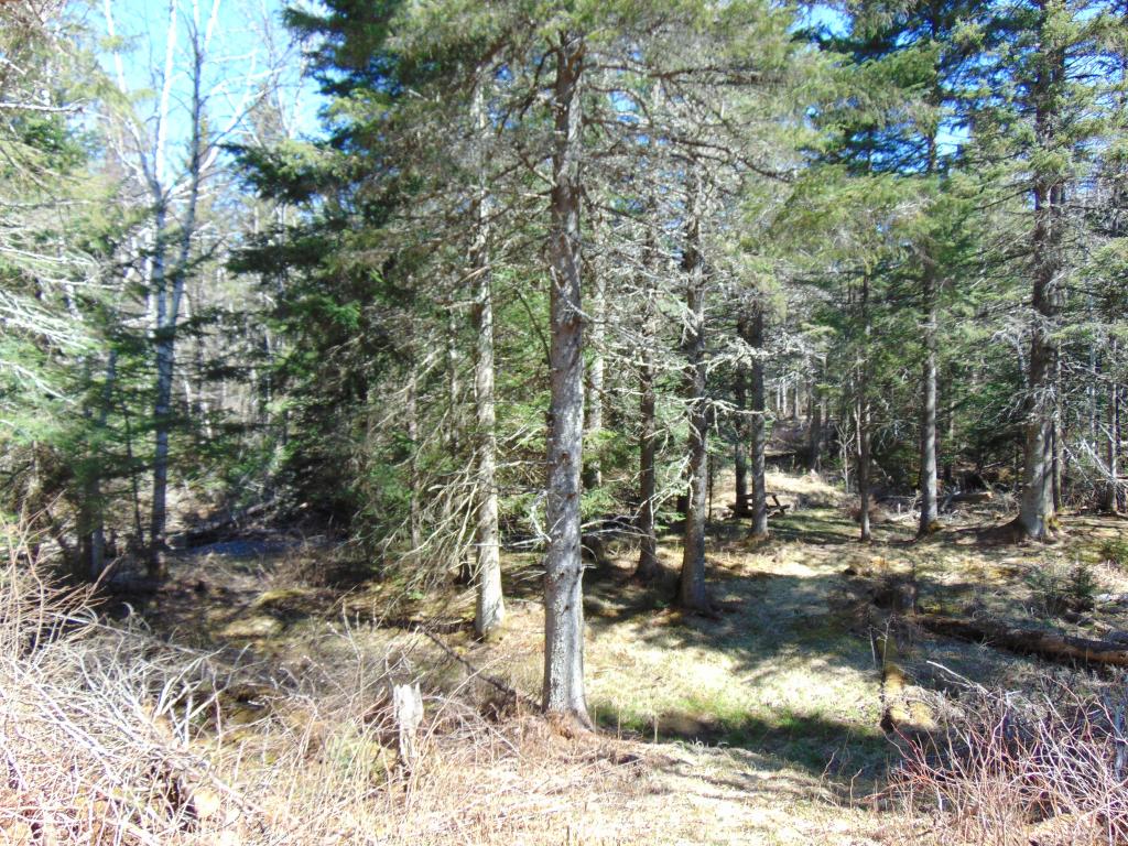 41 Kelsea Notch Road Columbia, NH 03576 - Photo 13 of 13